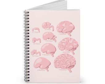 Brain Development Spiral Notebook – Neuroscience Illustration, Doctor Gift