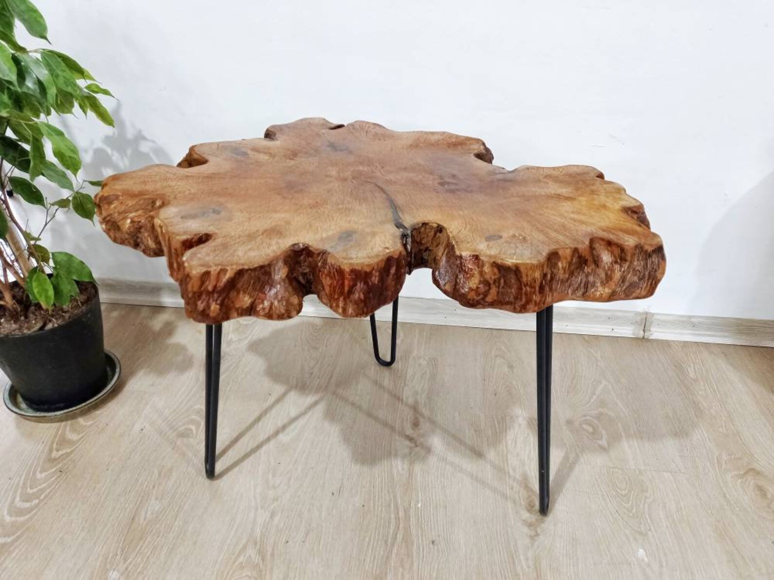 Live edge table tree slice coffee table wood coffee table Etsy