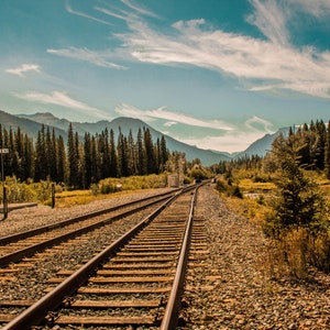 May include: A pair of rusty railroad tracks stretch into the distance, surrounded by a lush forest and a mountain range in the background. The sky is a bright blue with fluffy white clouds.