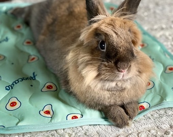 Self-Cooling Pet Mat for Summer - Washable Fabric, Ideal for Rabbits, Cats, Small Dogs