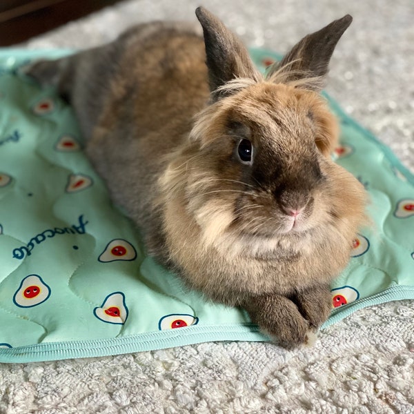 Self-Cooling Pet Mat for Summer - Washable Fabric, Ideal for Rabbits, Cats, Small Dogs