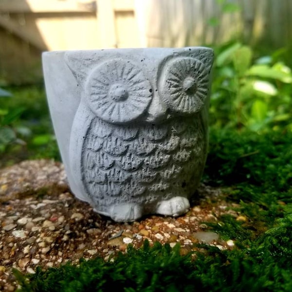 Owl Planter, Concrete Planter, Office Planter, Succulent Planter, Housewarming Gift, Air Plant Holder, Office Decor, Teacher Appreciation