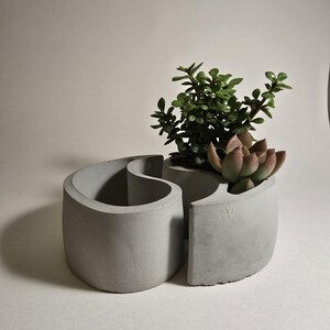 May include: A gray concrete planter with two separate compartments, shaped like a yin yang symbol. The planter is filled with green succulents.