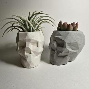 Geometric Concrete Skull Planter: Edgy Desk Organizer