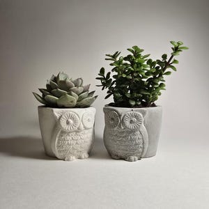 May include: Two concrete owl planters, one with a succulent and the other with a small green plant. The planters are white with gray accents and have detailed owl faces.