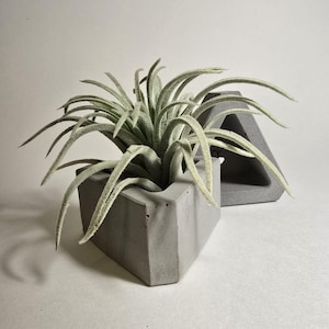 Triangle Concrete Planter Set: Geometric Succulent Pot, Air Plant Holder