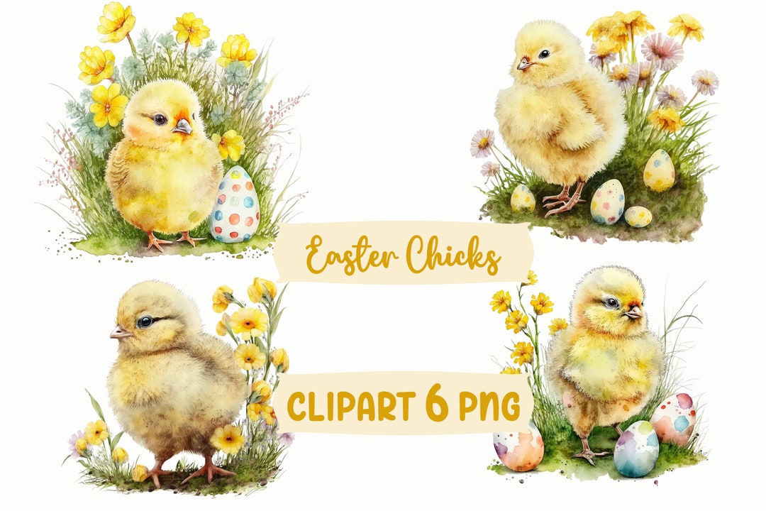 Watercolor Easter Chicks Clipart | Rustic Spring PNG Graphics (digital ...