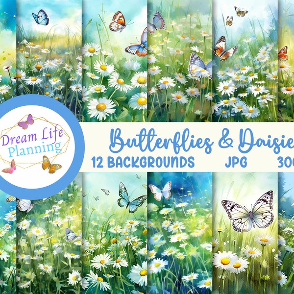 Butterflies & Daisies Art Backgrounds | Butterfly Print | Butterfly Art | Butterflies | Marguerite Daisy | Alluring Butterflies | Butterfly