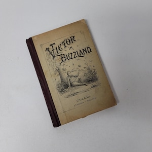 1896 Victor in Buzzland A Nature Fairy Story by Adelaide Fuller Bell Vintage Illustrated Insect Hardback Children&#39;s School Nature Lore Book
