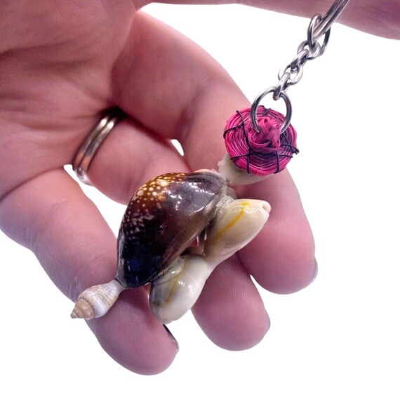 Turtle Keychain Made from Seashells Seashell Body… - image 4