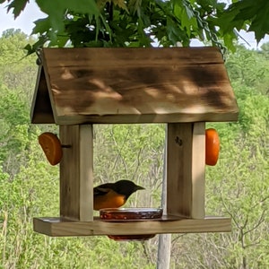 Oriole Feeder