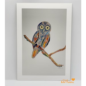 A4 PRINT Titel: 'Clarence' Barnyard Eule