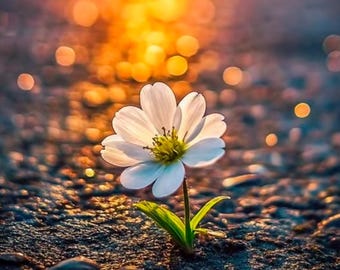 Yes, You Deserve Grace