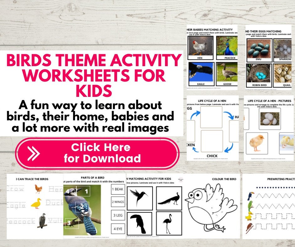bird theme preschool printable etsy ireland