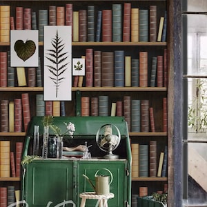 Old Books - removable wallpaper, design, wall covering, reusable, peel and stick, library, book, story, bookshelf, literature, paper  #76