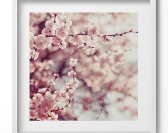 Blooming Spring Flowers Wall Art in Frame, Flowers and plants Framed Art, Pink Wall Art, Home Decorations