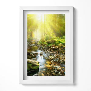 A Forest Stream In The Sunlight Wall Art in Frame, Landscape Framed Art, Green Wall Art, Home Decorations