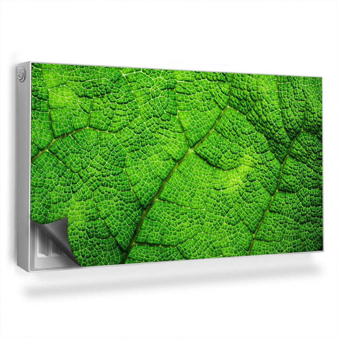 Zoom in on the Cellular Structure of A Leaf Heating Cover, Green ...