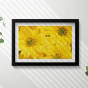 Flowers Petals Wall Art in Frame, Flowers and plants Framed Art, Yellow Wall Art, Home Decorations