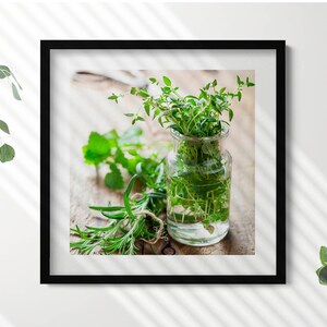 Kräuter in einem Glas auf Holz Illustration im Rahmen, Blumen und Pflanzen Druck im Rahmen, cremige Wandkunst, Innendekoration
