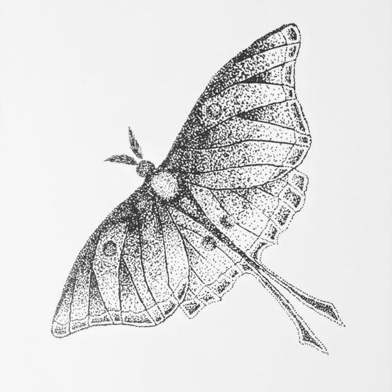 Ink Stippling in Black and White