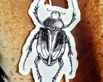 Beetle Vinyl Die Cut Stickers