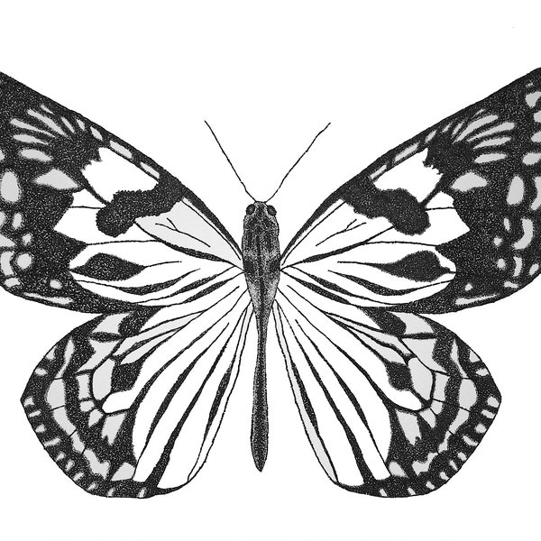 Rice Paper Butterfly Etsy