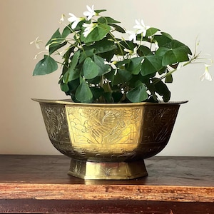 May include: A brass planter with an ornate, engraved design, holding a green plant with small white flowers. The planter has a wide, hexagonal shape and sits on a pedestal base. The plant's leaves are heart-shaped.