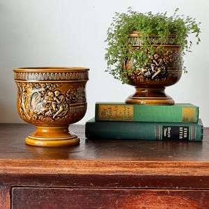 Könnte beinhalten: Zwei braune Keramik-Pflanzgefäße mit Sockel. Die Pflanzgefäße weisen Reliefdesigns klassischer Figuren und Blätter auf. Ein Pflanzgefäß enthält eine kleine grüne Pflanze. Die Pflanzgefäße werden auf einer Holzoberfläche ausgestellt.