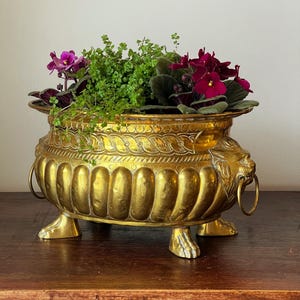 Pode incluir: Um grande vaso de latão dourado ornamentado com motivos e cheio de vegetação e flores roxas. O vaso apresenta alças em forma de cabeça de leão e pés em forma de garra, adicionando um toque de elegância ao arranjo floral.