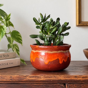 May include: A round ceramic planter with a glossy finish featuring a deep red base and a vibrant orange drip glaze pattern along the upper rim. The planter contains a green succulent plant with thick, fleshy, tubular leaves growing upwards.