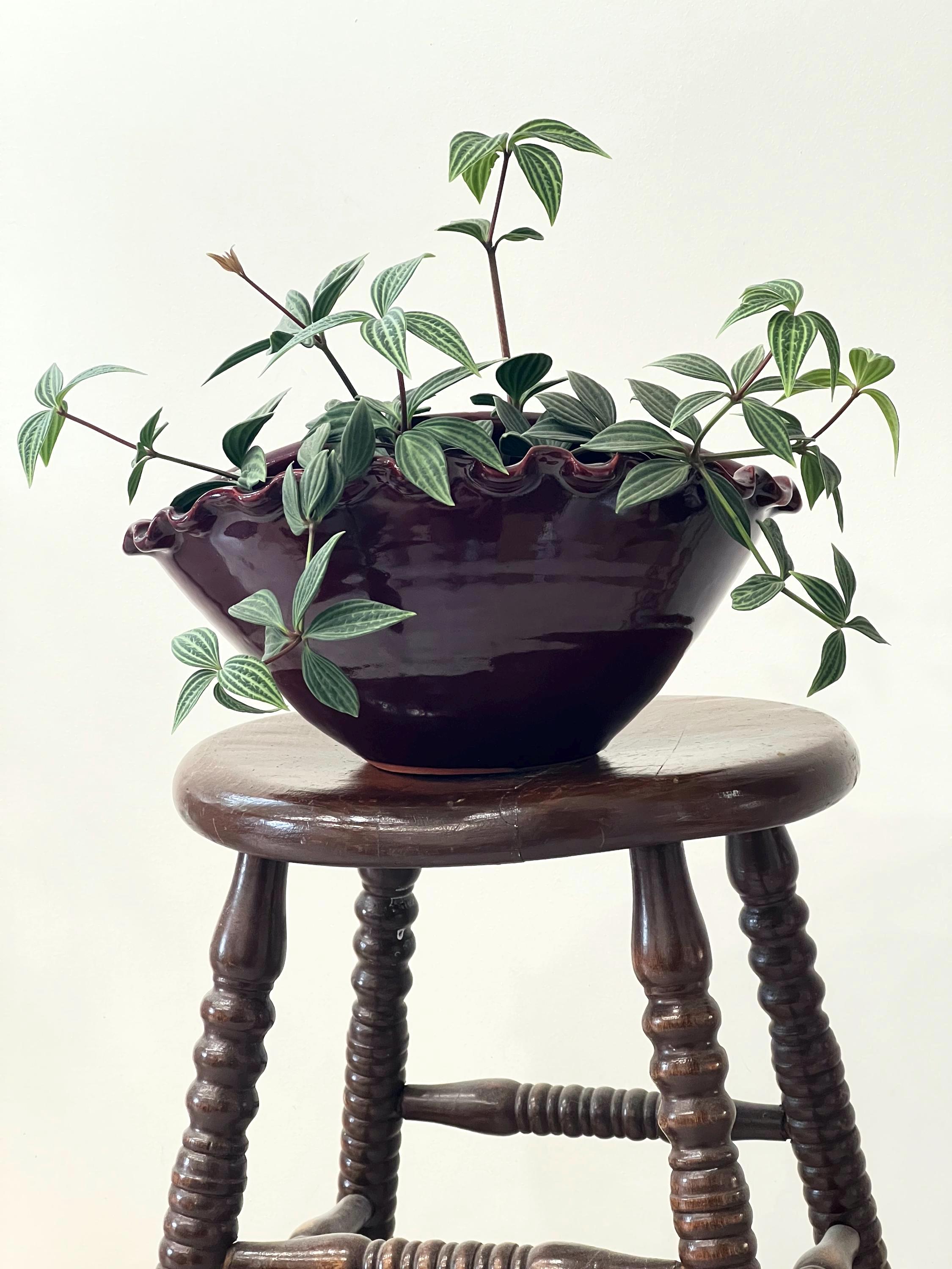 Vintage Planters - Etsy Canada