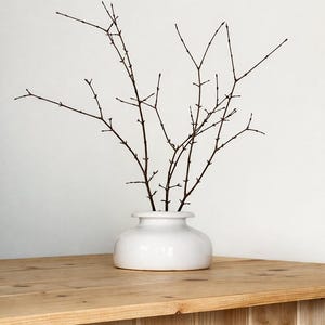 Może przedstawiać: Biały ceramiczny wazon o zaokrąglonym korpusie i wąskiej szyi trzyma kilka brązowych, nagich gałęzi. Wazon stoi na jasnej drewnianej powierzchni na tle gładkiej białej ściany. Gałęzie mają wiele małych gałązek.