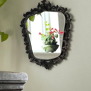 Può includere: Specchio ornato con cornice nera e forma unica, appeso a una parete colorata chiara. Lo specchio riflette una finestra con una pianta verde e un vaso di fiori rossi. La cornice presenta dettagli a volute.
