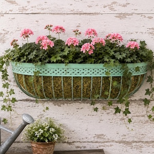 May include: A wall-mounted, oval-shaped planter filled with pink geraniums and green foliage. The planter has a light green, decorative metal frame and is filled with moss. Trailing ivy adds a natural touch. A galvanized watering can and small potted plant are also visible.