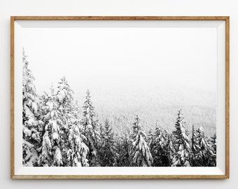 May include: Black and white photograph of a snowy forest landscape. The trees are covered in snow and the sky is overcast. The image is framed in a light wood frame.
