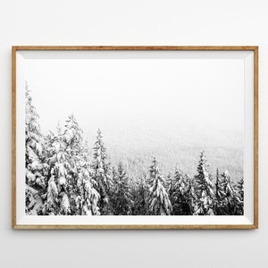 Peut inclure: Photographie en noir et blanc d'un paysage forestier enneigé. Les arbres sont recouverts de neige et le ciel est couvert. L'image est encadrée dans un cadre en bois clair.