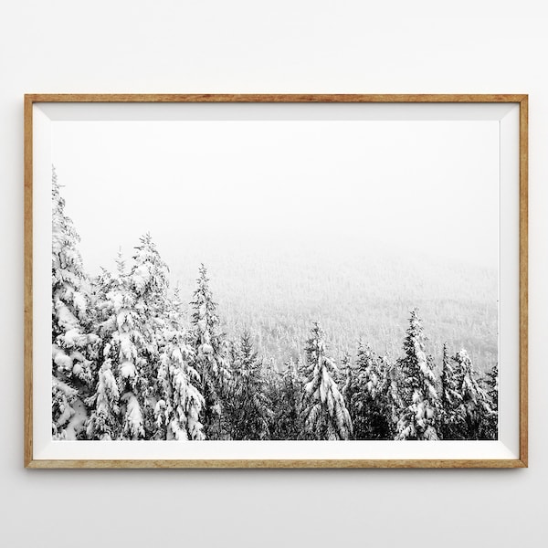 Winter Forest Print Christmas Wall Art Snow Covered Pine Trees Printable Art Snowy Trees Winter Wonderland Landscape Photo Black and White