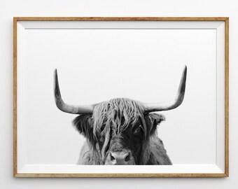 Highland Cow afdrukken zwart-wit boerderij Decor Rustiek Decor Farm Animal Print Shaggy koe foto afdrukbare kunst moderne kunst koe Wall Art
