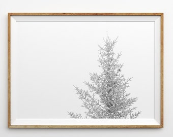 Winter Minimalist Print Snowy Pine Tree Wall Art Prints Tree Art Winter Landscape Photography Winter Snow Scene Photo Snow Covered Tree