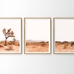 Puede incluir: Conjunto de tres láminas artísticas enmarcadas que representan un paisaje desértico. Las láminas muestran un árbol de Josué, montañas y terreno árido en tonos cálidos y terrosos. Cada lámina está en un marco dorado.