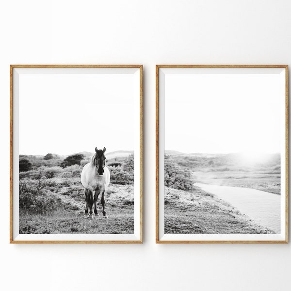 Black and White Horse Prints Etsy Australia