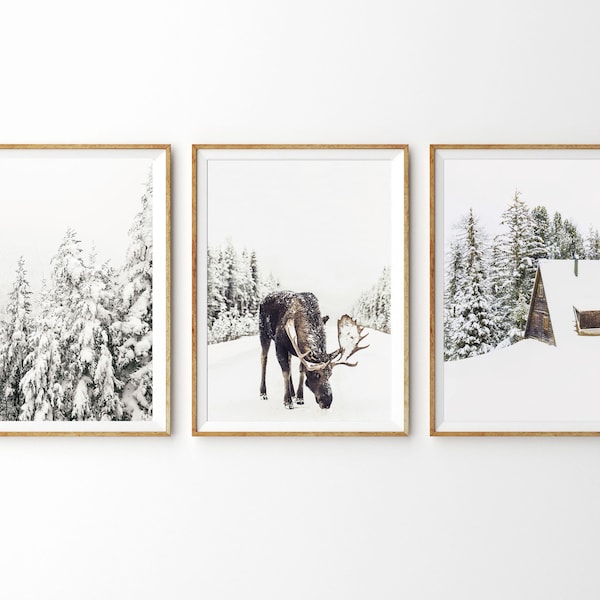 Winter Theme Set of 3 Prints Winter Decor Winter Photography Christmas Print Christmas Wall Art Forest Print Snowy Trees Reindeer Snow Cabin