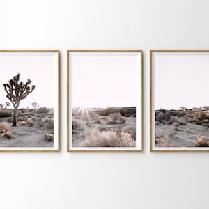 Joshua Tree Print Set of 3 Desert Prints 3 Piece Wall Art Arizona Desert Boho Decor California Wall Art Printable Wall Art Desert Poster