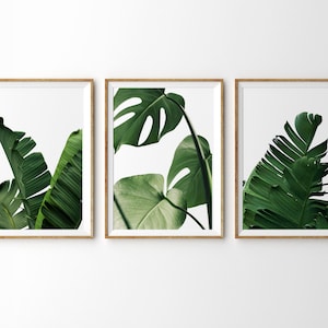 3 Stück Wand Kunst tropischen Blätter, die druckbare Kunst Set 3 Drucke botanischen drucken Monstera Blatt Banane Blatt tropischen Küsten Wand Dekor