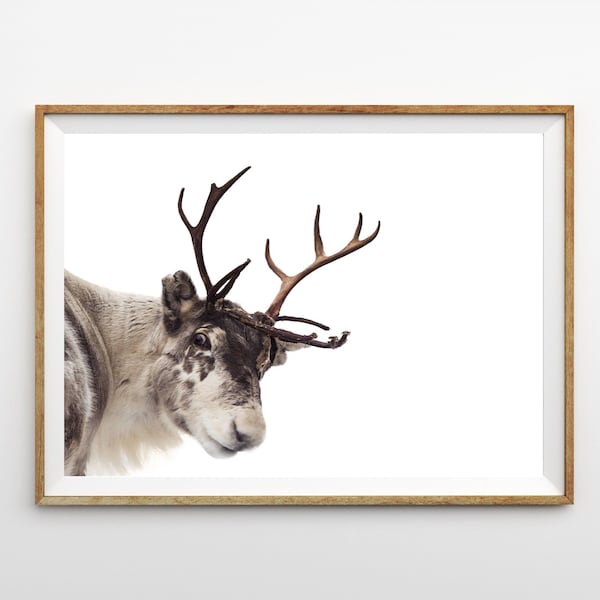 Reindeer Print Christmas Printable Art Funny Holiday Decor Winter Print Large Wall Art Prints Reindeer Poster Print Instant Download Digital