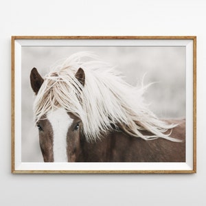 Horse Wall Art Prints Horse Photography Icelandic Horse Print Printable Wall Art Large Horse Poster Farmhouse Decor Horse Art Print Rustic