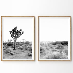 May include: Two framed black and white landscape prints. One features a Joshua tree in a desert setting. The other print shows a sunburst over a desert landscape. Both prints are in gold frames.