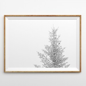 Winter Minimalist Print Snowy Pine Tree Wall Art Prints Tree Art Winter Landscape Photography Winter Snow Scene Photo Snow Covered Tree