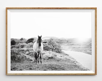 Hästfotografi Horisontella väggkonsttryck Svartvita hästväggkonst Bondgårdsdekor Landskapsfoto Utskrivbar väggkonst Hästtryck